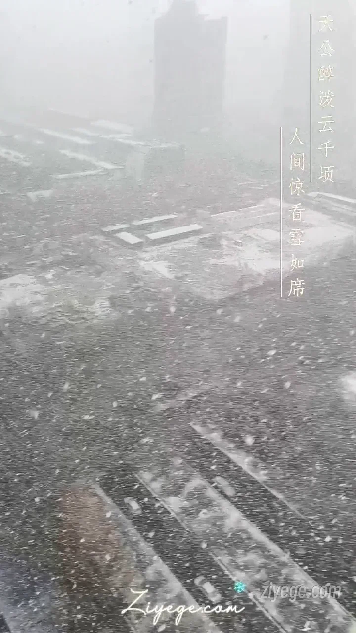 天公醉泼云千顷，人间惊看雪如席