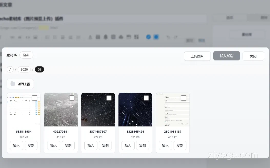 20260325192656_6117_QQ202