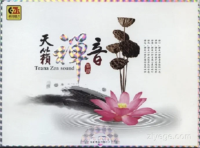 20260416211908_4021_tlcya