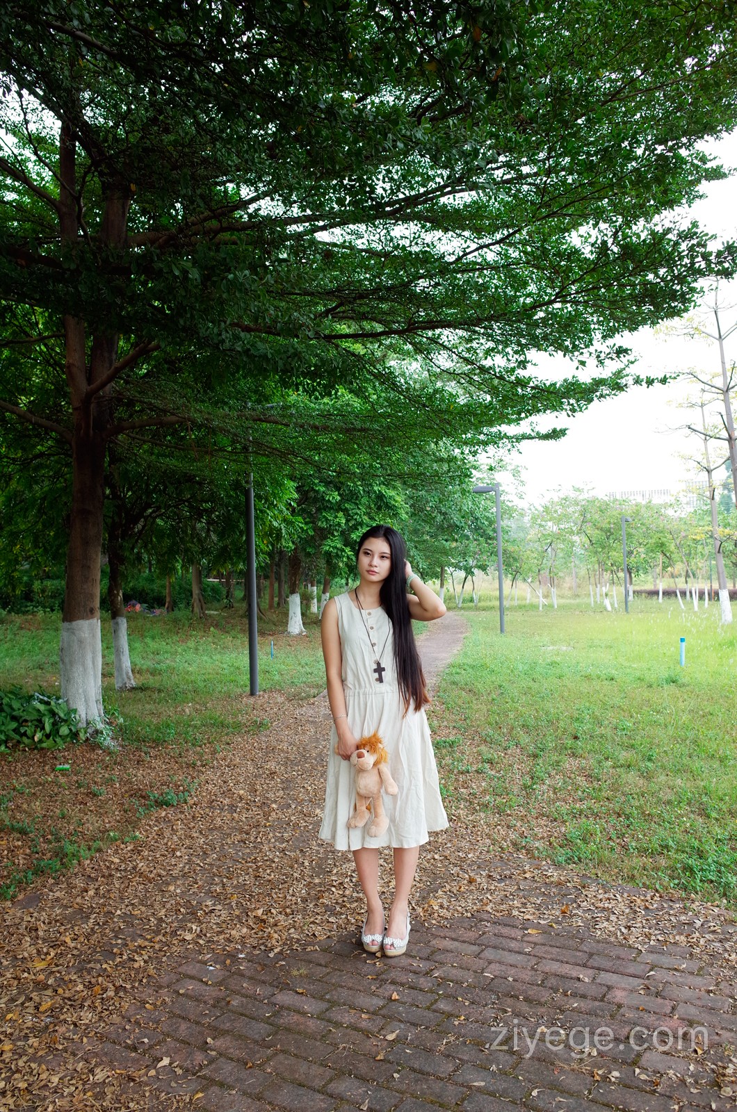 请输入图片描述