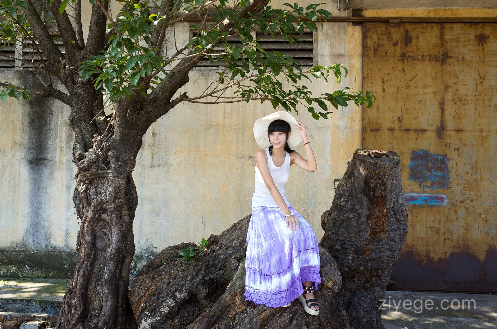 请输入图片描述